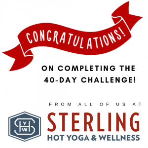 yoga challenge sterling hot yoga mobile al